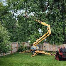 Best Tree Mulching  in Parkland, FL